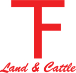 Tuff Land and Cattle