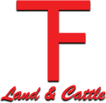 Taff Land and Cattle
